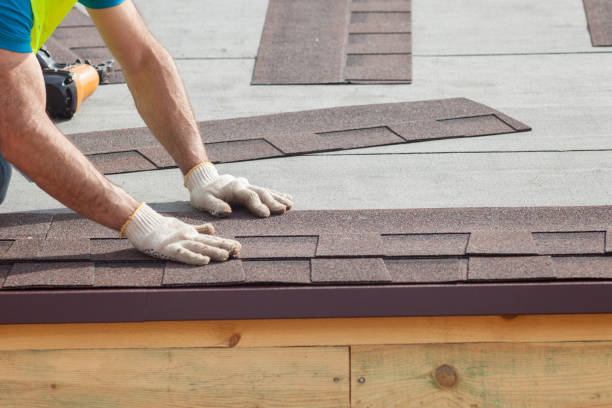Best Skylight Installation and Repair  in Bloomfield, IA